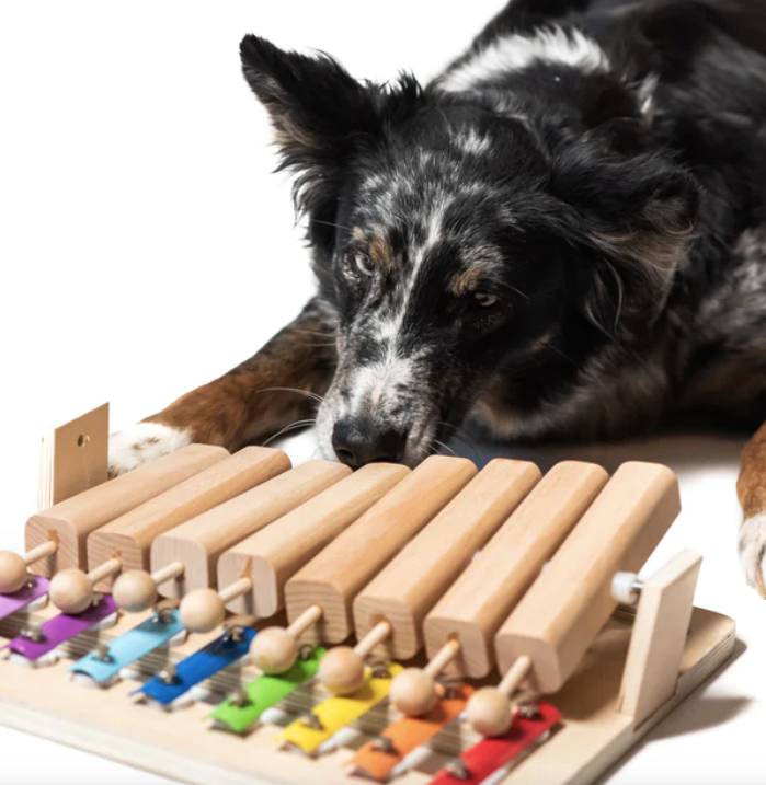 Best Interactive Dog Toys: Puzzles, Games & Ways To Stimulate Your Pet  (With Our Personal Experience)