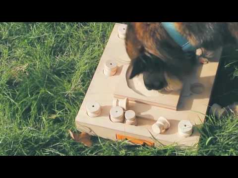 DIY Challenging Wood Puzzle/Toy for Dog 